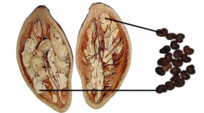 bbr.20.2.327_Fig1